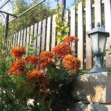 Mostel Ostello Veliko Tărnovo