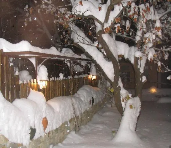 Хостел Mostel *